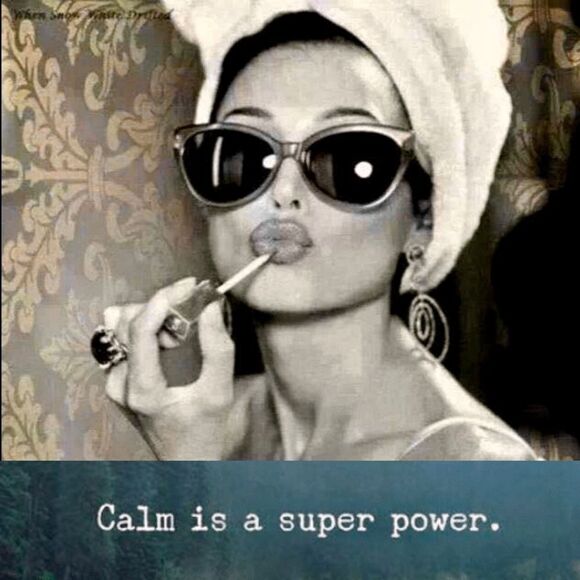 S♥️LD! Gloria Vanderbilt l Avery Capri l Slimming l Pull-on l 5 pocket l 8 l EUC - Picture 2 of 8